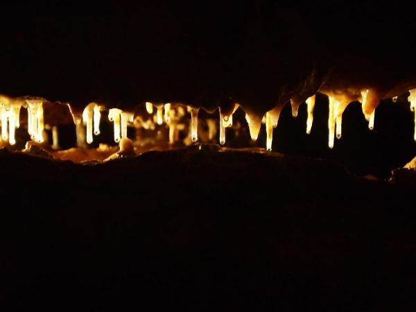 Backlit Stalactites, Crystal Cave, WI